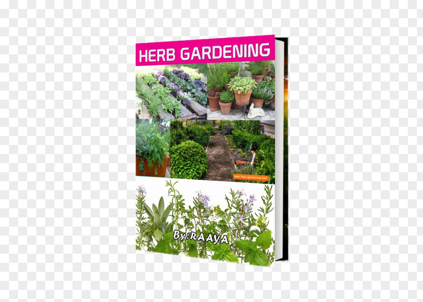 Herb Garden Fitomedicamentos Na Pratica Ginecologica: E OBSTETRICA Shrub Flora Ecosystem PNG