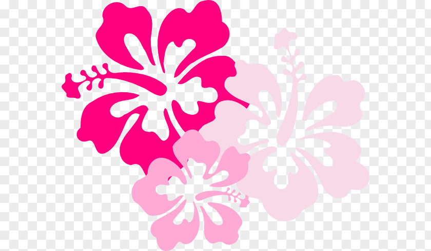 Hibiscus Frame Cliparts Hawaiian Maui Flower Clip Art PNG