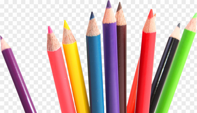 Stationery Colorfulness Pencil Cartoon PNG