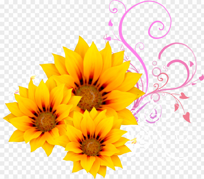 Sunflower Flower Watercolor Painting PNG