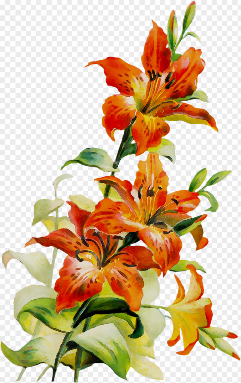 Clip Art Flower Image Borders And Frames PNG