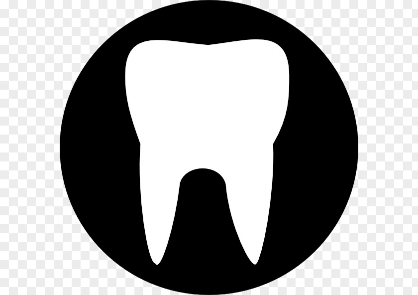 Tooth Human Molar Clip Art PNG