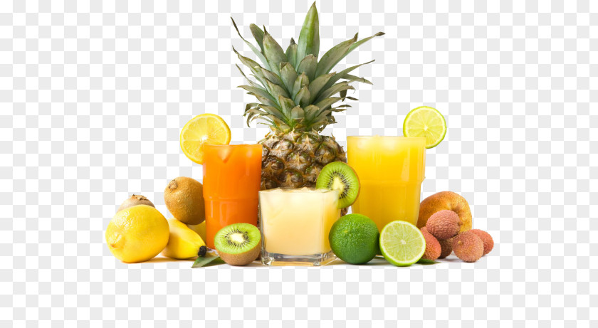 Cocktail Garnish Citrus Pineapple Cartoon PNG