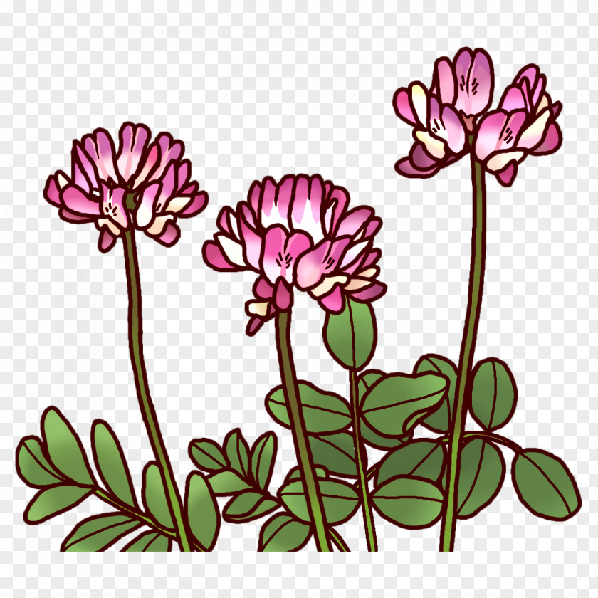 Floral Design PNG