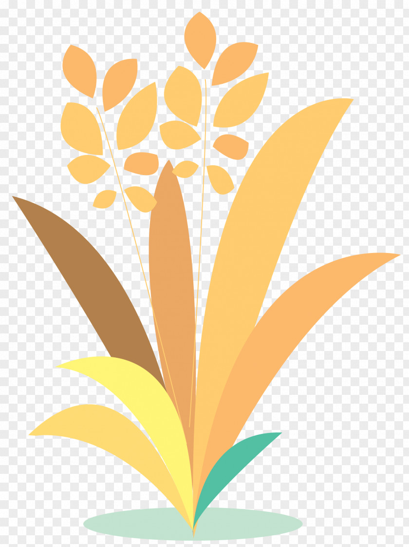 Vector Cartoon Rice Paddy Field PNG