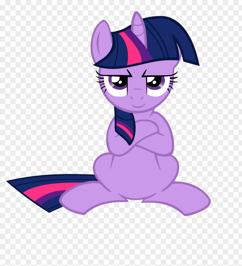 Bossy Twilight Sparkle Vector Graphics Pony Image Rainbow Dash PNG