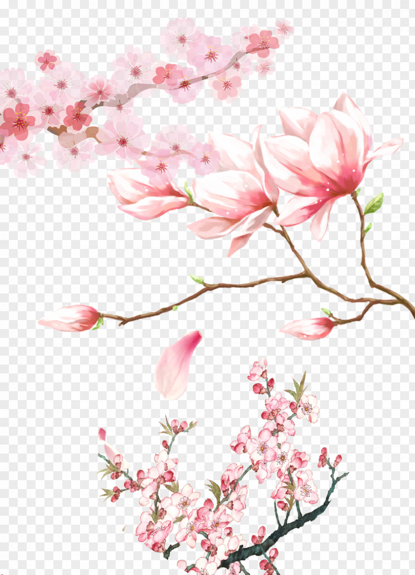 Red Peach Blossom Cherry PNG