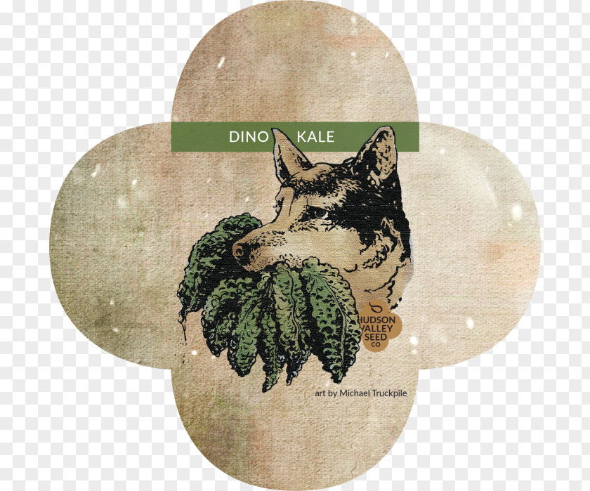 Dinosaur Kale Lacinato Cabbage Collard Greens Vegetable Seed PNG