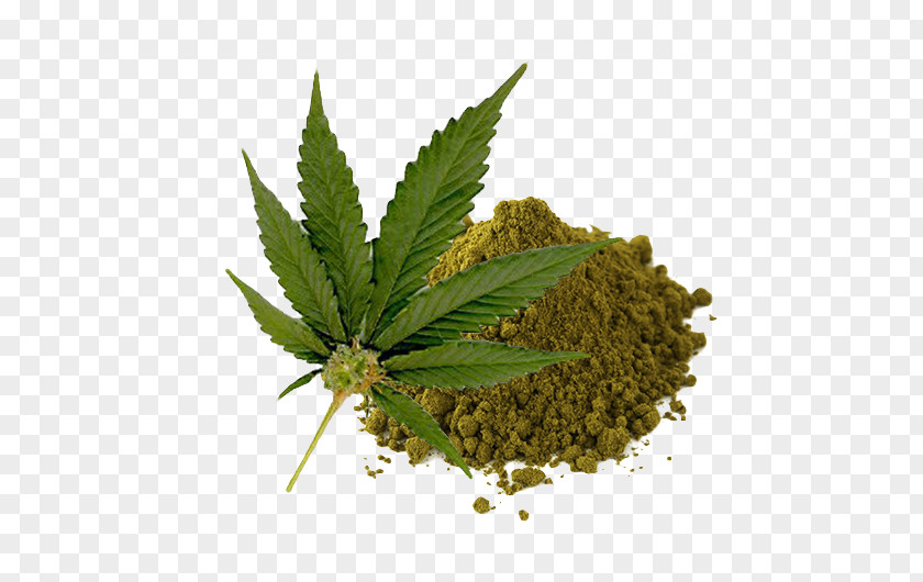 Hemp Cannabis Sativa Legality Of Legalization Medical PNG