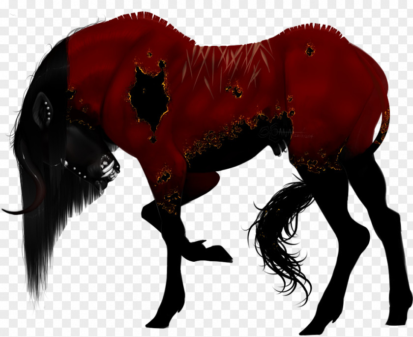 Mustang Pony Stallion Art Pack Animal PNG