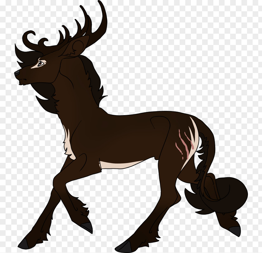 Reindeer Horse Elk Cattle Horn PNG