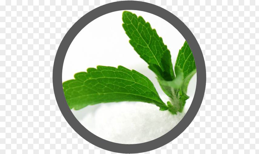 Stevia Candyleaf Extract Sugar Substitute Food PNG