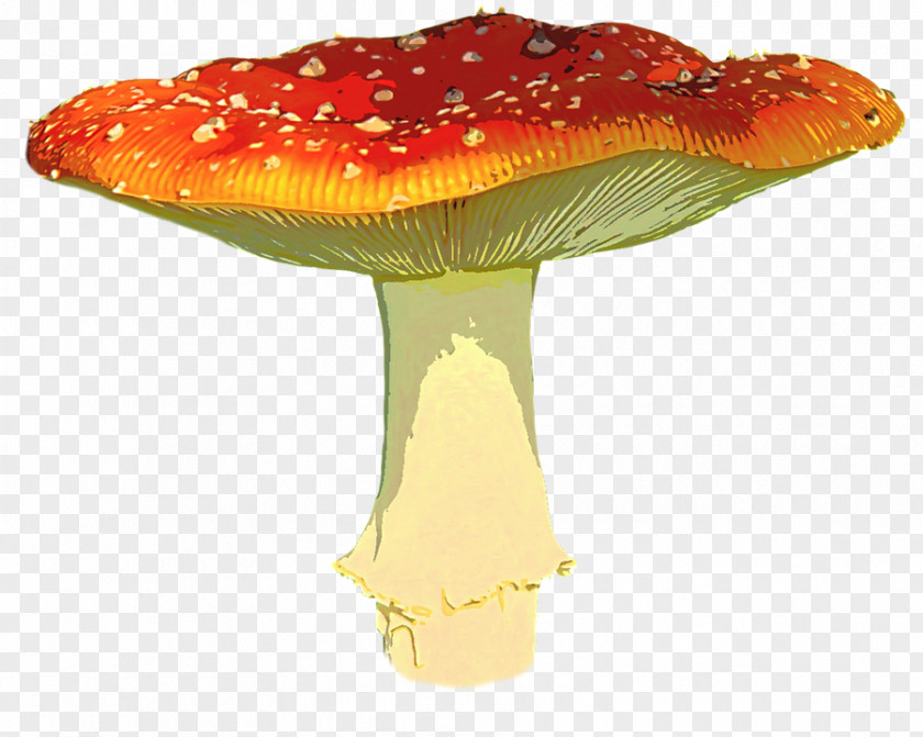 Amanita Muscaria Transparent Image Mushroom Clip Art PNG