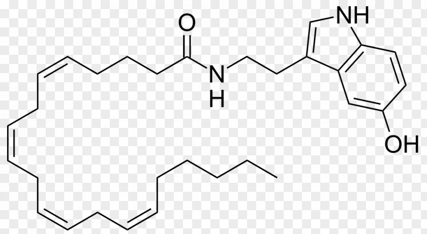 Arachidonoyl Serotonin Transporter 5-HT Receptor Fatty Acid PNG