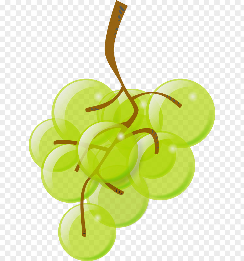 Grapes Images Common Grape Vine Wine Juice Clip Art PNG