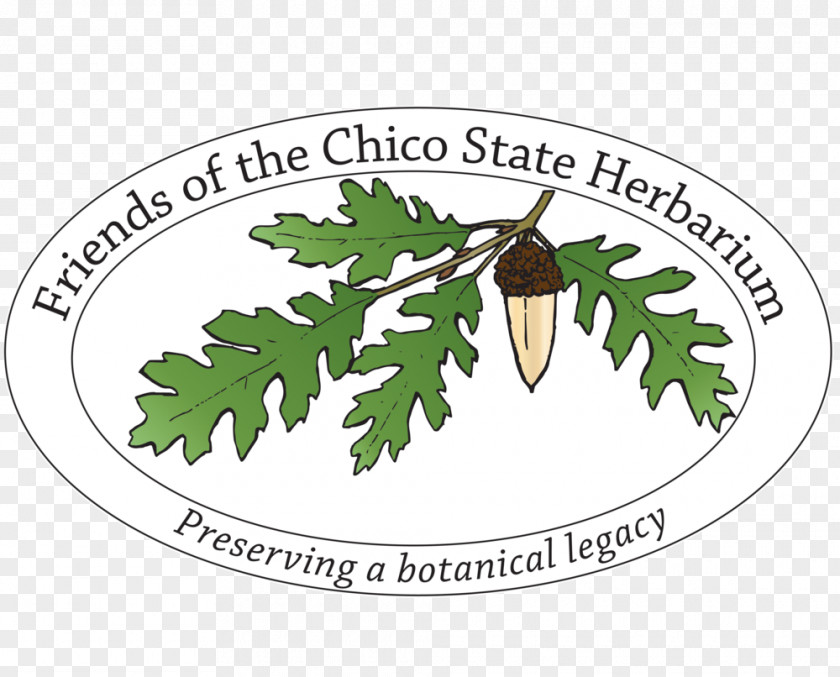 Herbarium California State University, Chico Aqua-Terra Landscapes Logo PNG