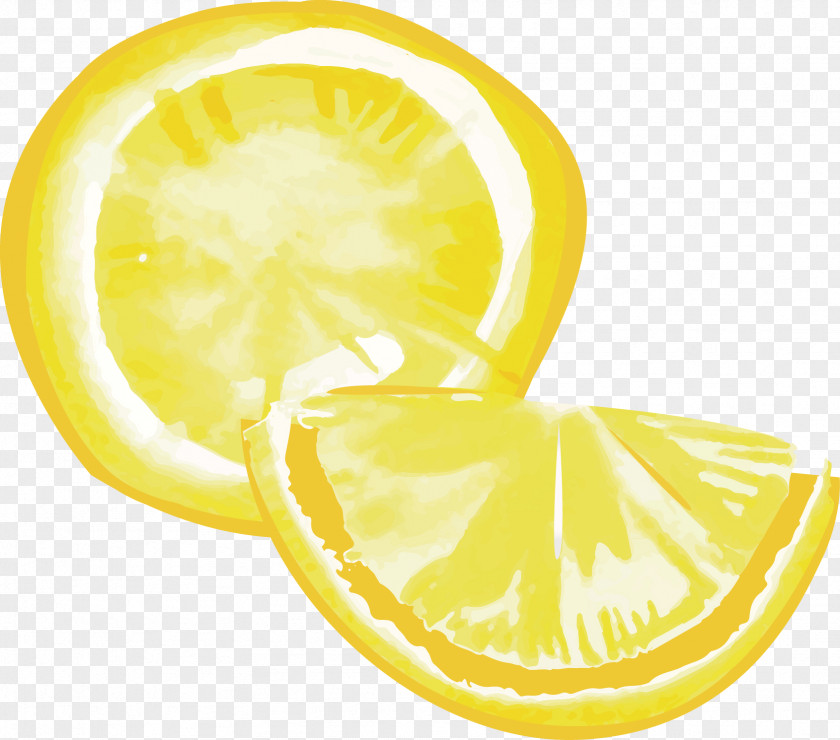 Lemon Gouache Citron PNG