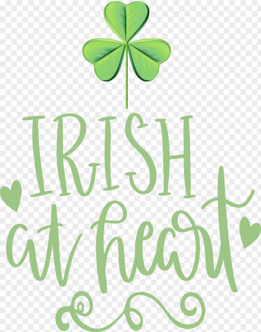 Shamrock PNG