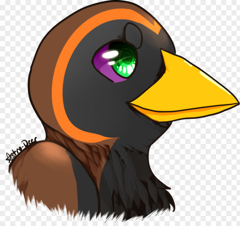 Duck Illustration Penguin Clip Art Character PNG