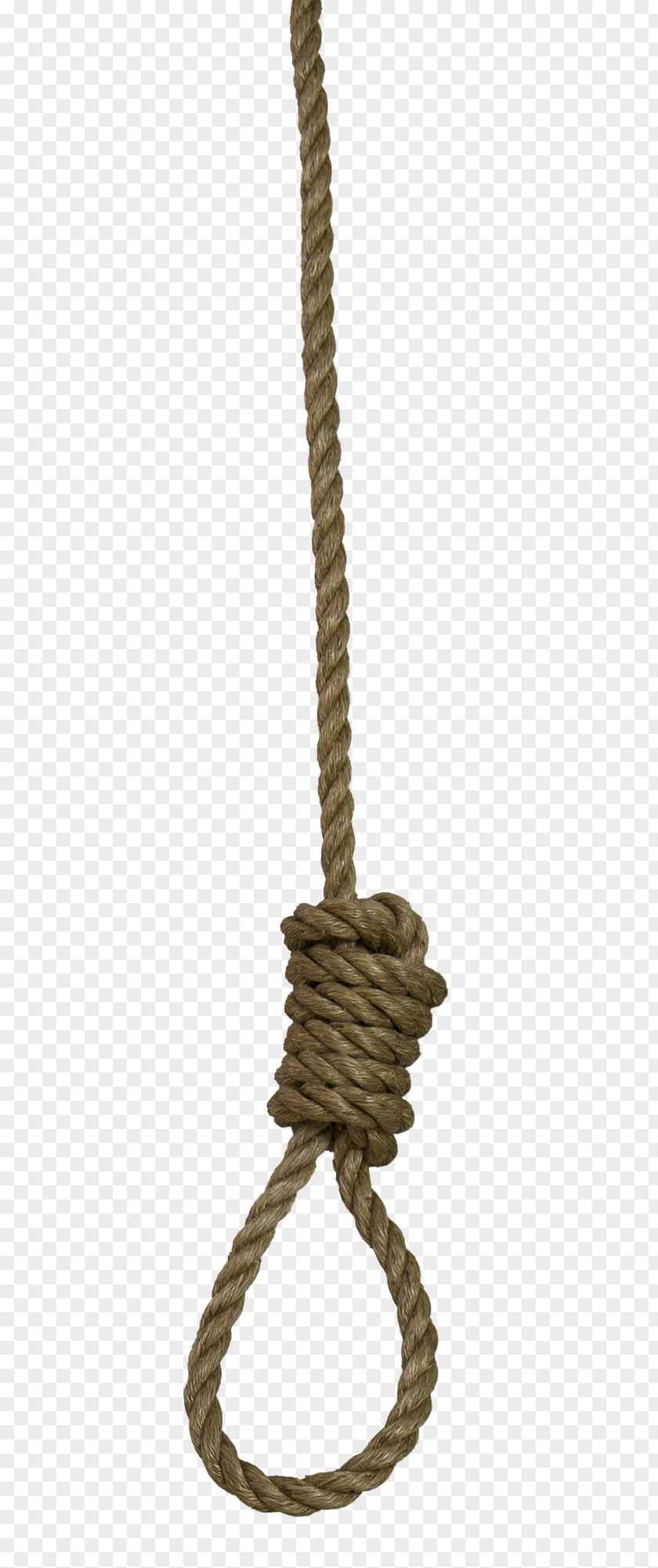 A Rope Noose Knot PNG
