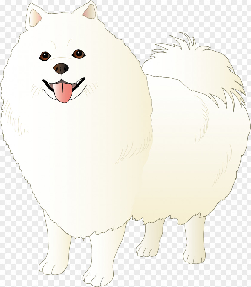 Dog Japanese Spitz German Klein Volpino Italiano Pomeranian PNG