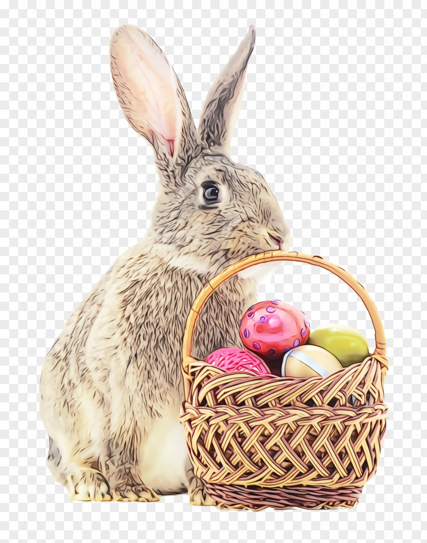 Wood Rabbit Wicker Easter Egg PNG