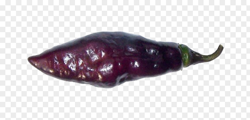 Bhut Jolokia Chili Pepper Pasilla Cayenne Biber Con Carne PNG
