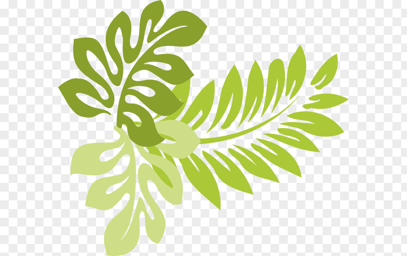 Buckeye Leaf Cliparts Hawaii Clip Art PNG