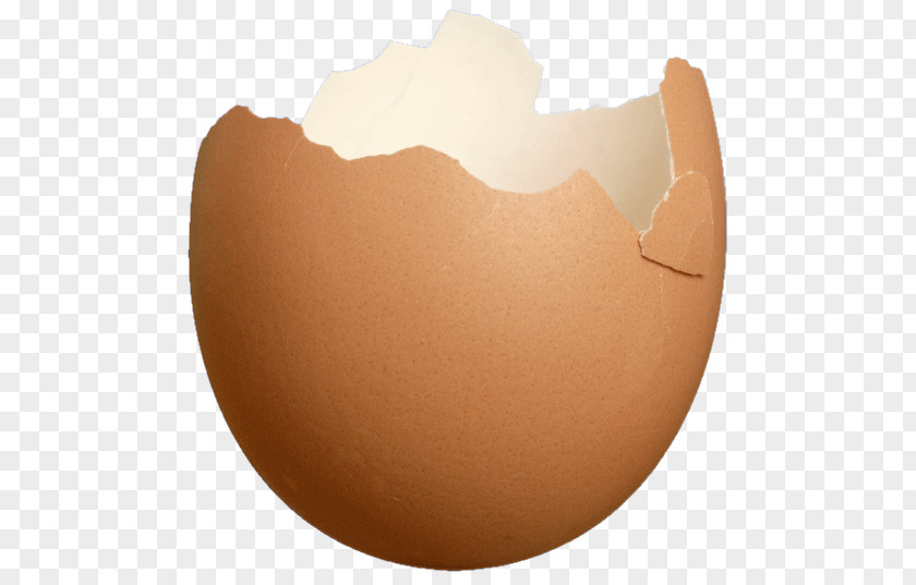Eggshell Food Easter Egg Typographical Error PNG