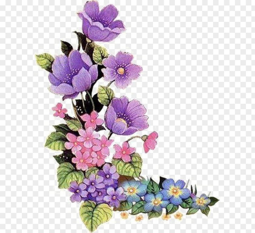 Flower Borders And Frames Clip Art Purple PNG