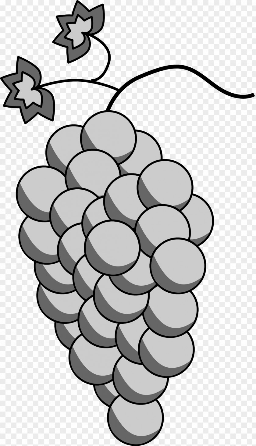 Grape Black And White PNG