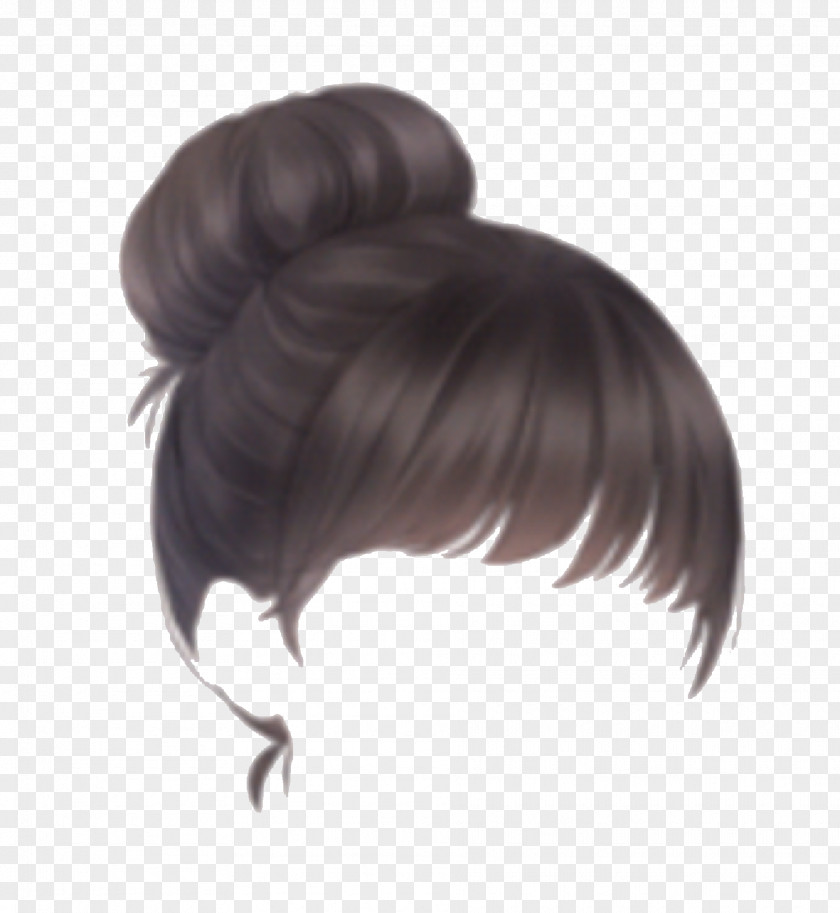 Bun Hairstyle Brown Hair PNG