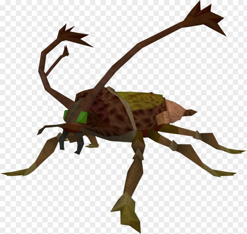 Cockroach Old School RuneScape Insect Clip Art PNG
