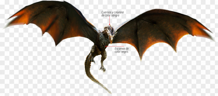 Game Of Throne Drogon Daenerys Targaryen Rhaegal Viserion Khal Drogo PNG