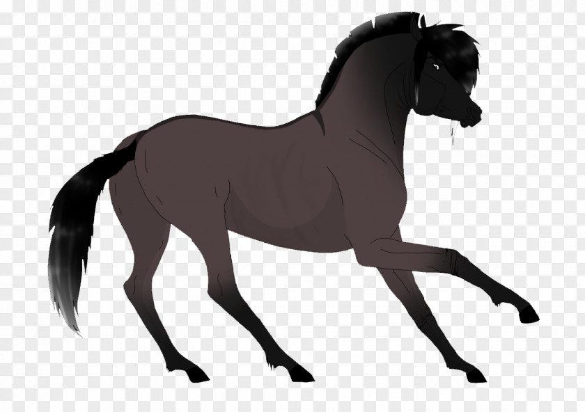 Mustang Pony Foal Stallion Rein PNG