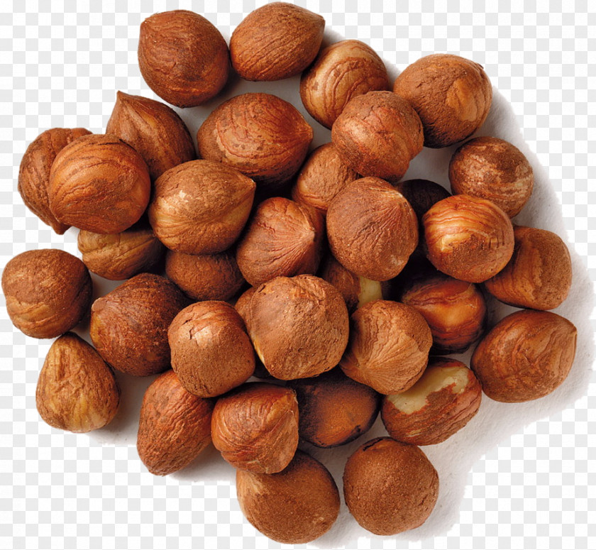 Nuts Common Hazel Filbert Hazelnut Dried Fruit PNG