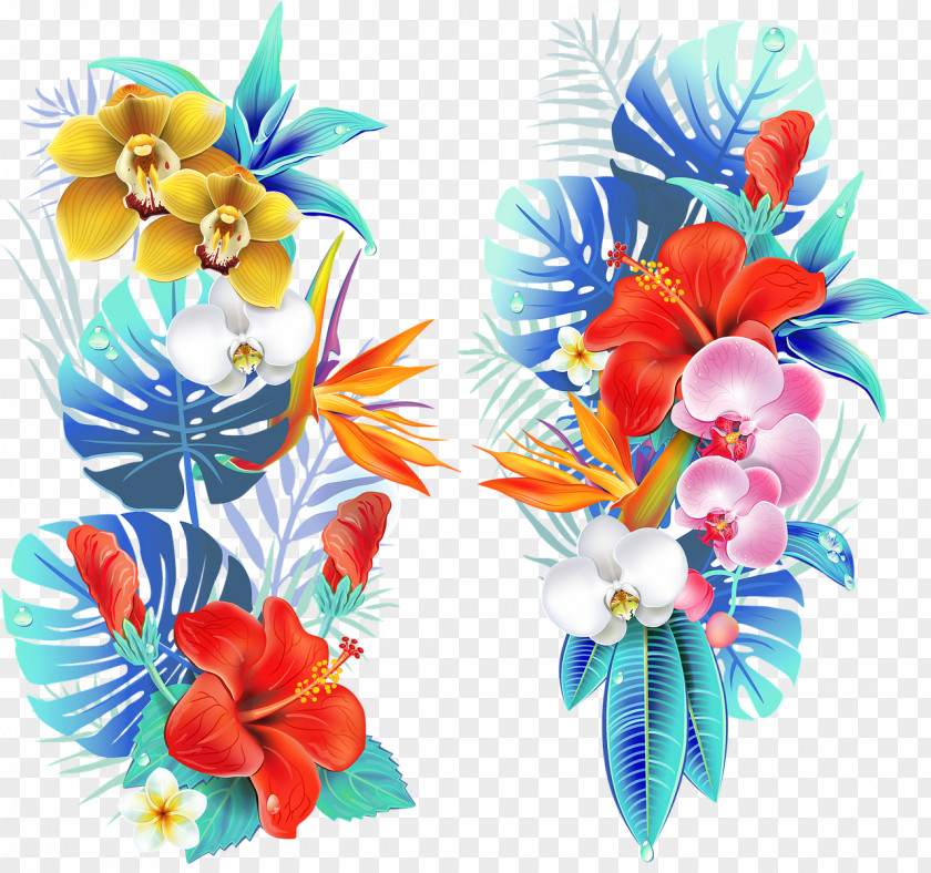 Tropical Flowers Vector Drawing Graphics Flower Illustration Clip Art PNG