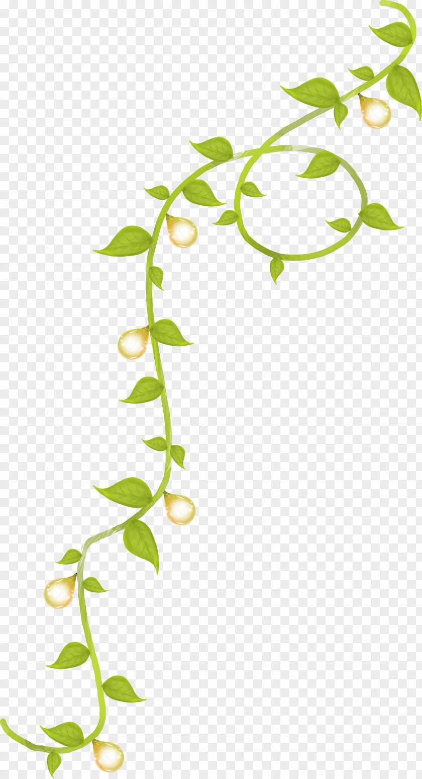 Branches Flower Plant Stem Leaf PNG