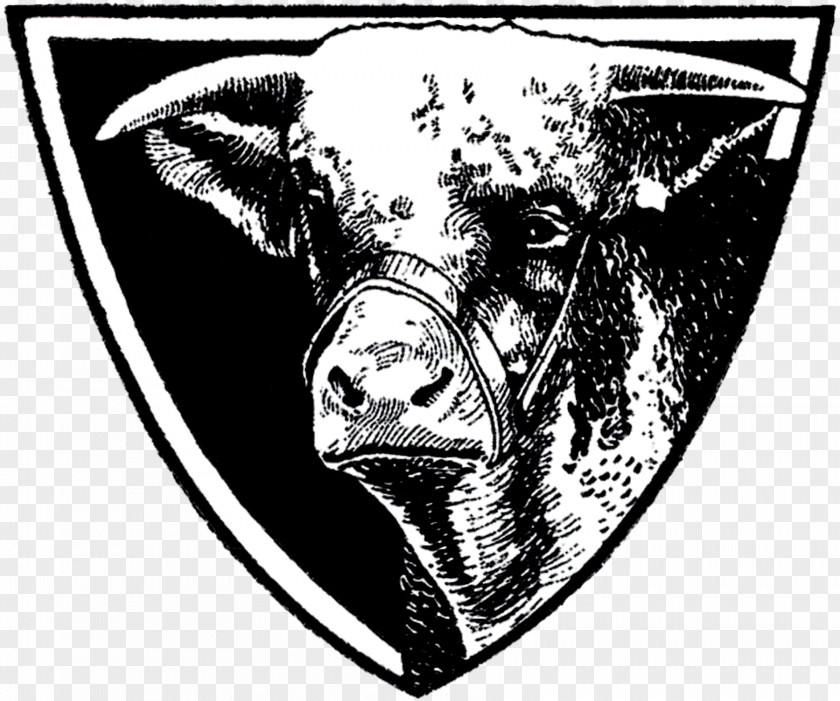 Cattle Drawing /m/02csf Font PNG