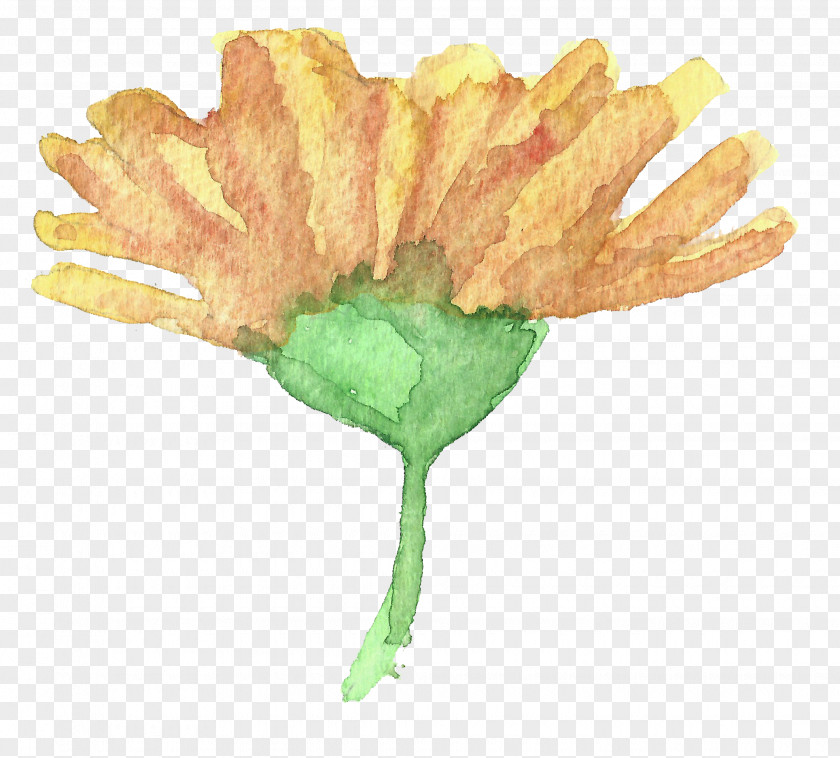 Chrysanthemum Flower Pixel Clip Art PNG