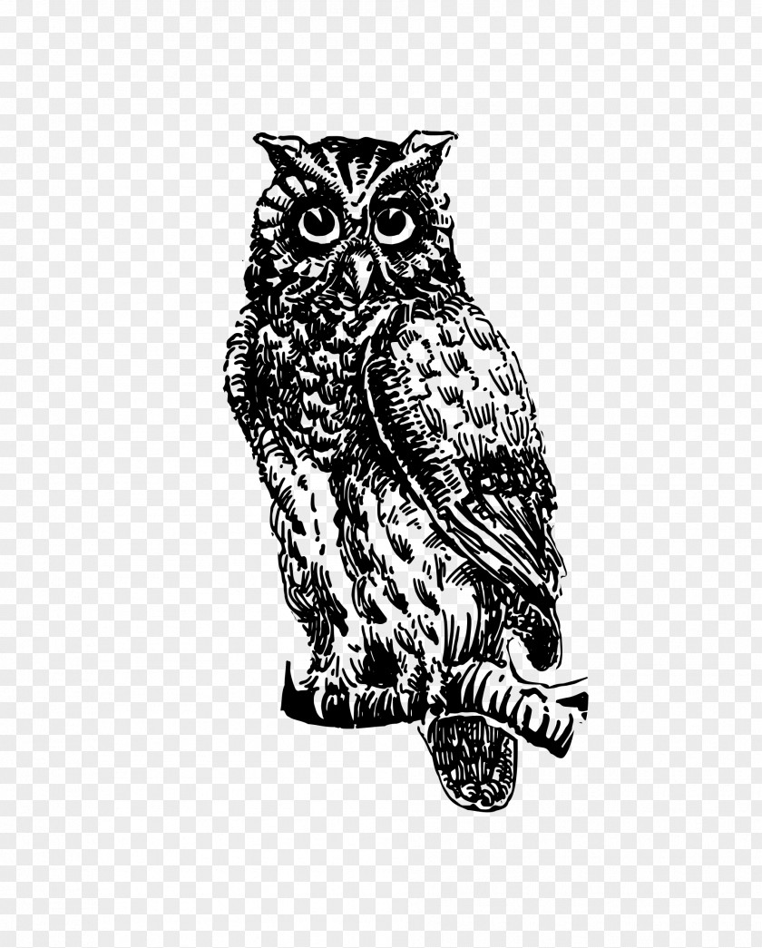 Creative Owl The Picture-poetry Book Clip Art PNG