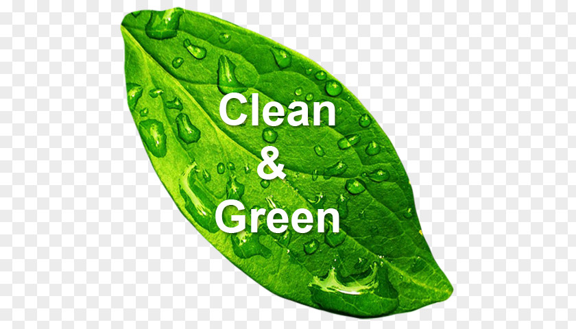 Fleet Truck Washing Natural Environment Green Cleaning Environmentally Friendly Environmental Protection PNG
