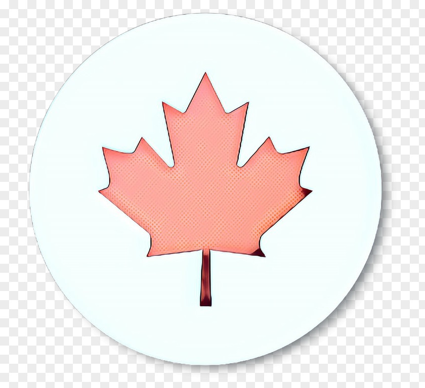 Symbol Plane Canada Maple Leaf PNG