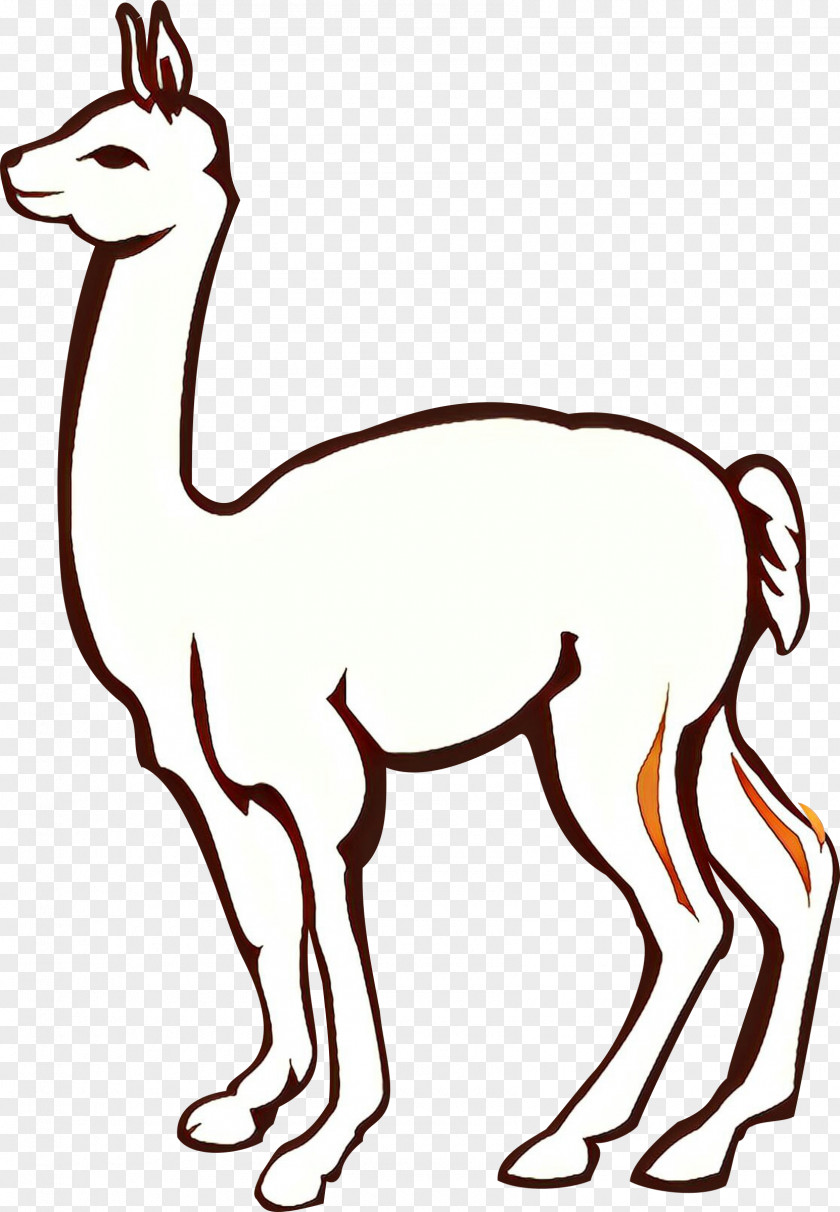 Tail Camelid Llama PNG