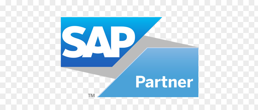 Erp Icon Organization SAP SE Partnership Logo Implementation PNG