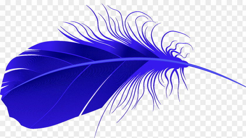 Feather Bird PNG