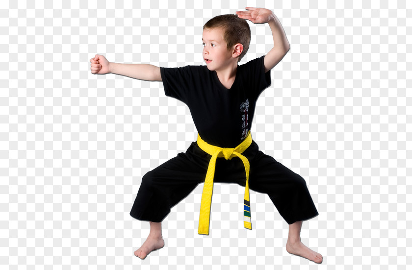 Martial Arts Kung Fu Kuk Sool Won Chinese Karate PNG