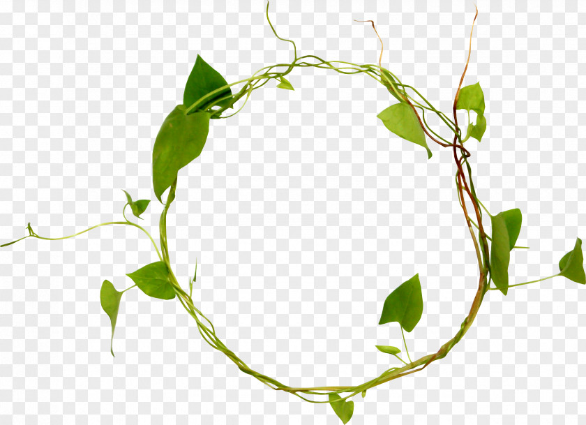 Simple Frame Twig Leaf Image Branch PNG