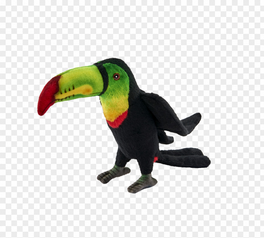 Toucan Bird Parrot Stuffed Animals & Cuddly Toys Piciformes PNG