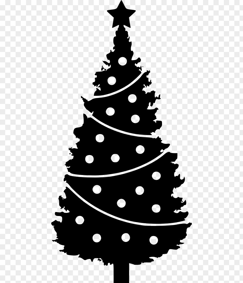 Tree Evergreen Vector Graphics Clip Art Fir PNG